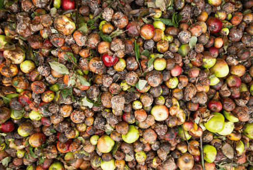 Secondary article image