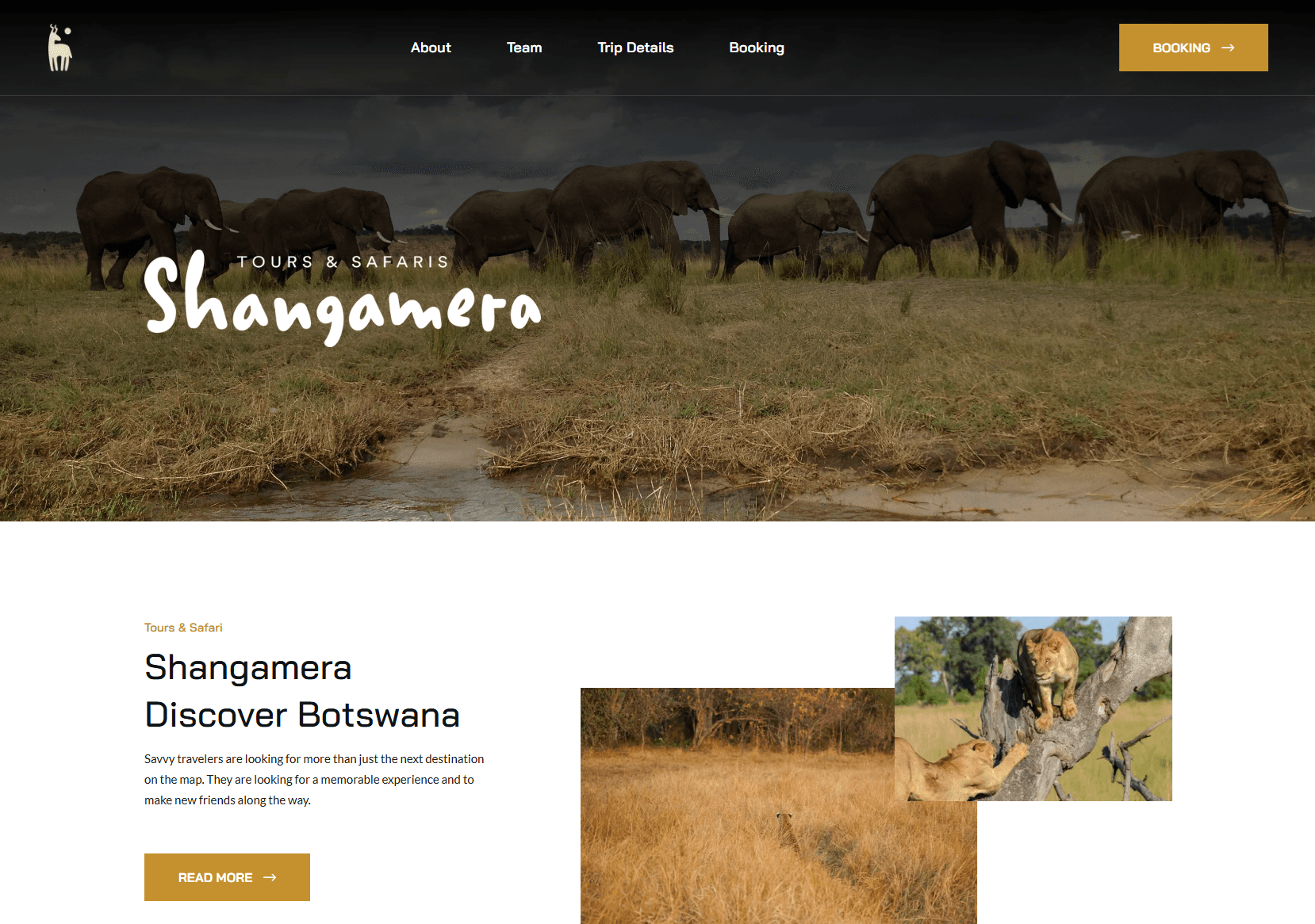 Primary article imgLayover